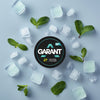 Garant Nicotine Pouches - The Puff Club